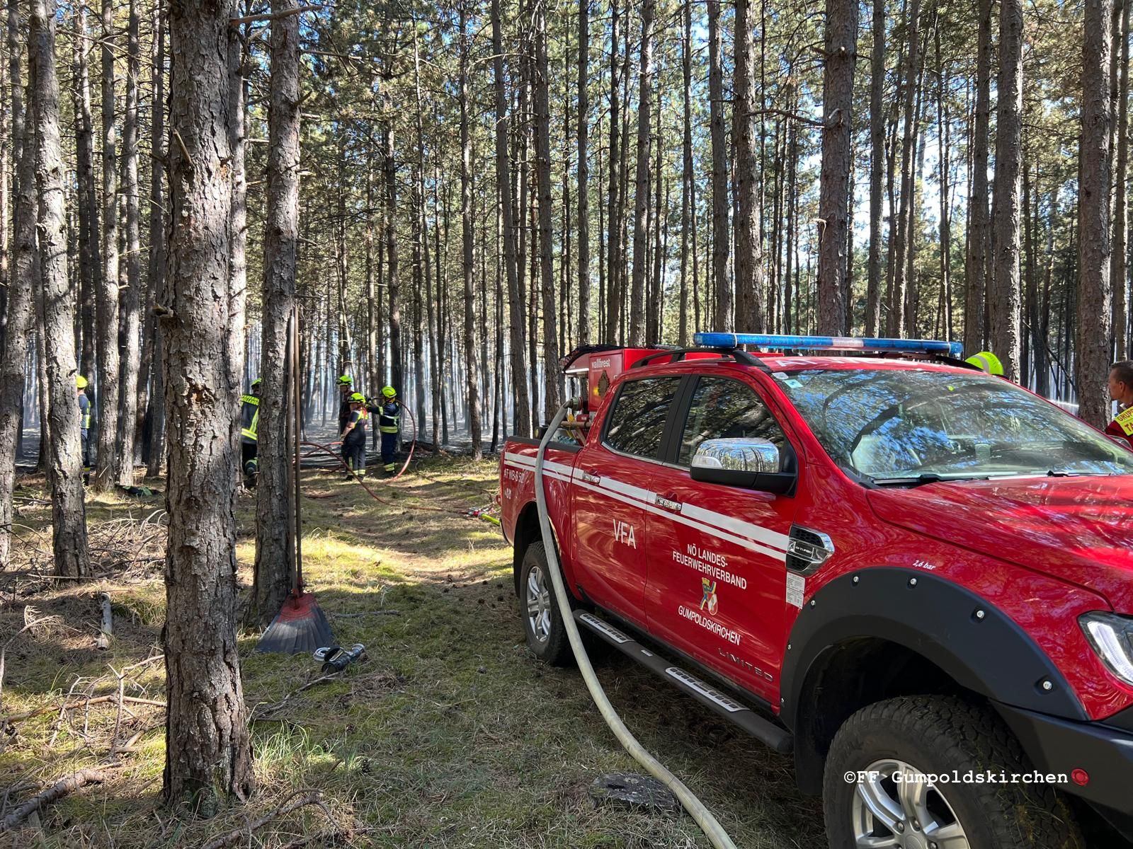 Vom Ferienspiel in den Großeinsatz – Neuerlicher Waldbrand im Föhrenwald