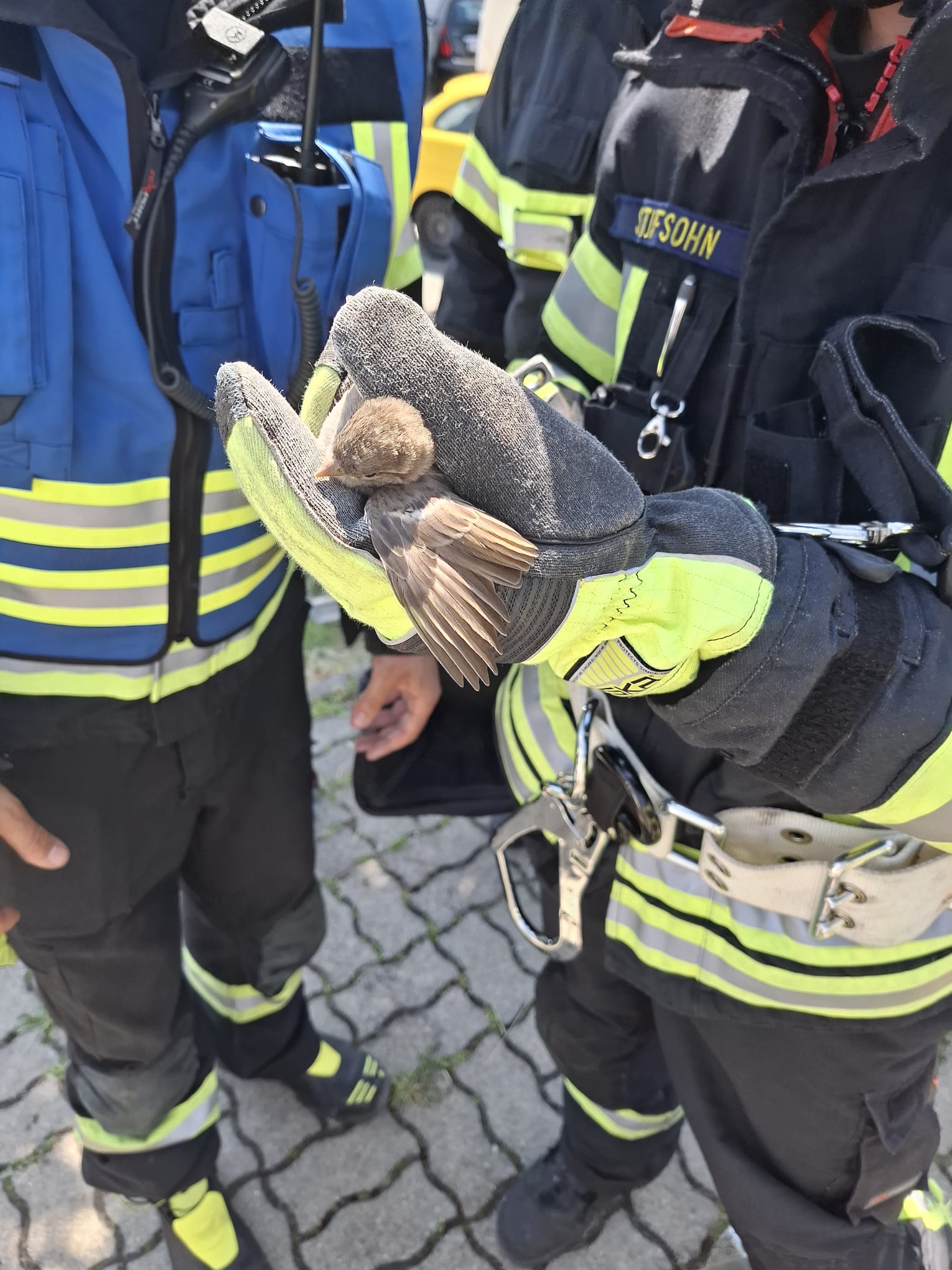 Tierrettung am 13.05.2025