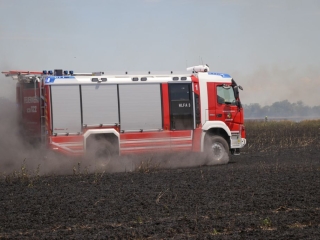 BrandGetreidefeld 2018 07 04 1 14