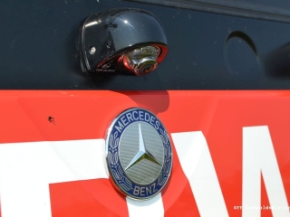 HLFA3 17