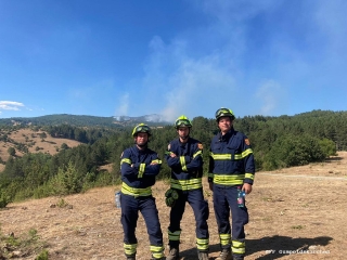 Waldbrand Nordmarzedonien 1