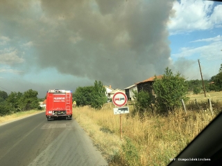 Waldbrand Nordmarzedonien 4