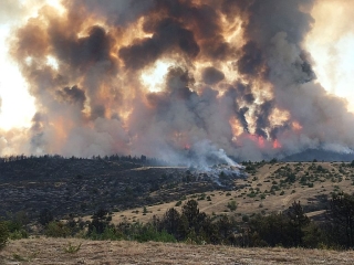 Waldbrand Nordmarzedonien 5